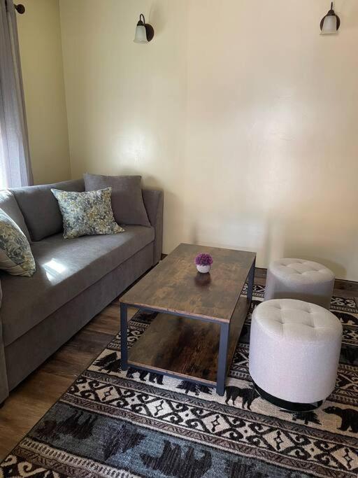 Parkway Yellowstone Guest House Apartment #3 ガーディナー エクステリア 写真